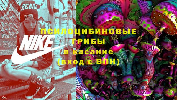 не бодяженный Богданович