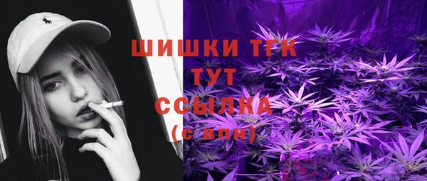 СК Богородицк
