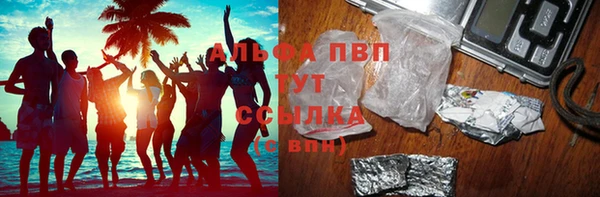 СК Богородицк