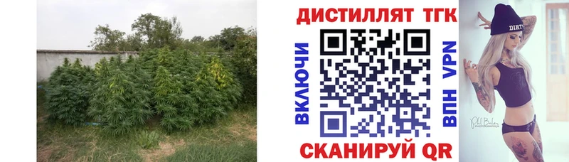 ссылка на мегу онион  Гулькевичи  ТГК вейп 